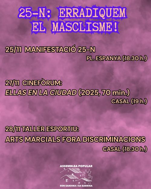 25-N ERRADIQUEM EL MASCLISME 