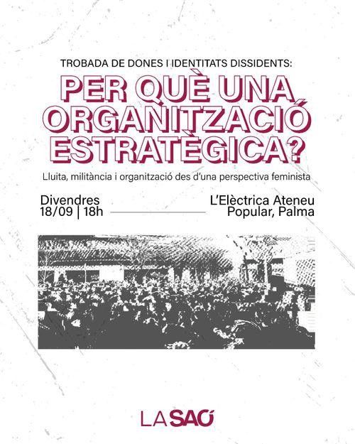 Trobada no mixta (La Saó): Per què una organització estratègica? 